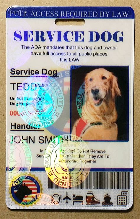 veteran sho shot dog faked service dog paperwork|service dog harmful.